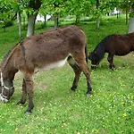 Historicky Objekt Ailit Rum i privatbostad Podbranc