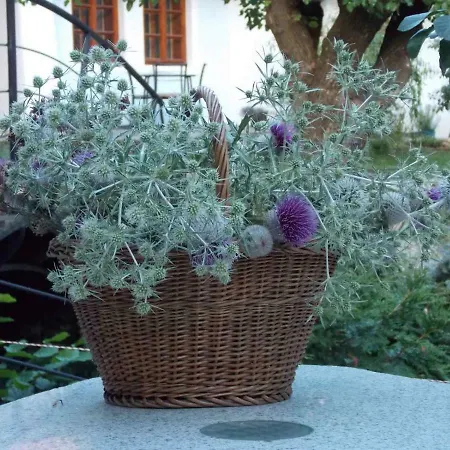 Historicky Objekt Ailit Pansiyon Podbranc