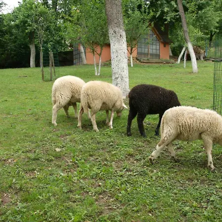 Homestay Historicky Objekt Ailit Podbranc