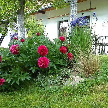 Homestay szállás Historicky Objekt Ailit