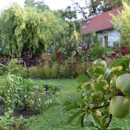 Historicky Objekt Ailit Berencsváralja