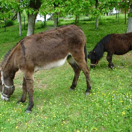 Historicky Objekt Ailit Homestay szállás Berencsváralja