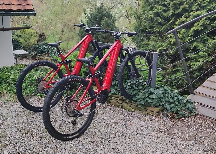 Historicky Objekt Ailit Pansiyon Podbranc