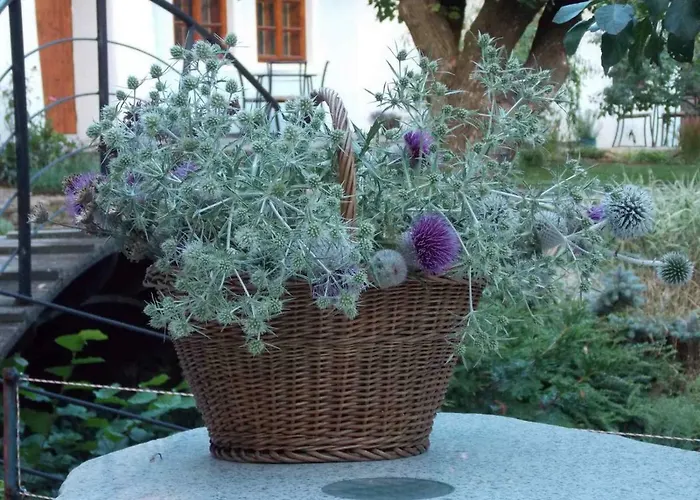 Historicky Objekt Ailit Séjour chez l'habitant Podbranc