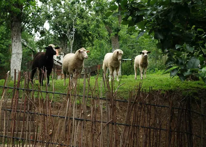 Historicky Objekt Ailit Pansiyon