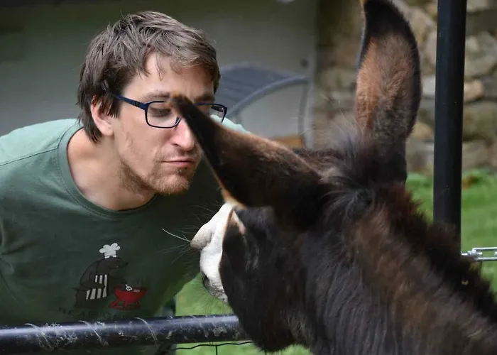 Historicky Objekt Ailit Séjour chez l'habitant