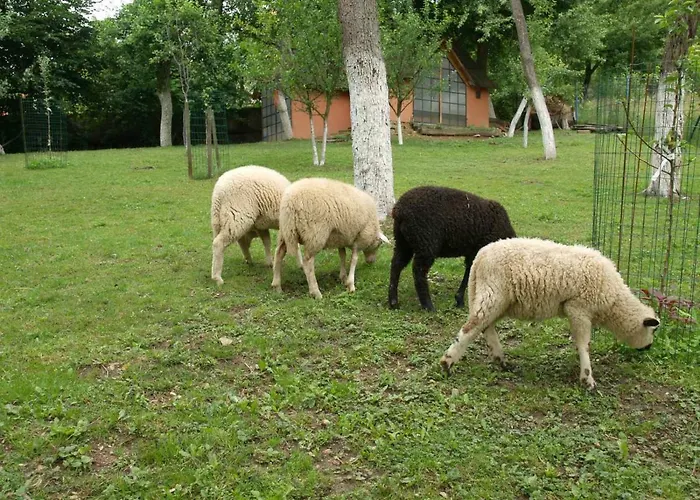 Pansiyon Historicky Objekt Ailit Podbranc