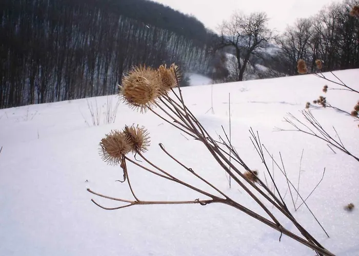 Historicky Objekt Ailit Pansiyon