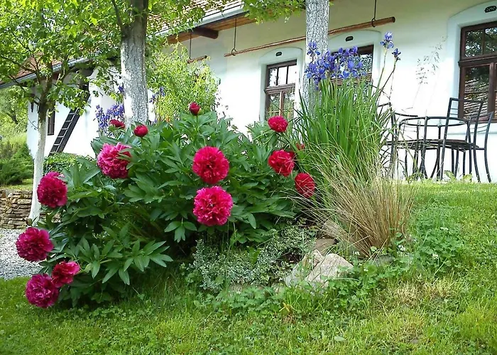 Séjour chez l'habitant Historicky Objekt Ailit