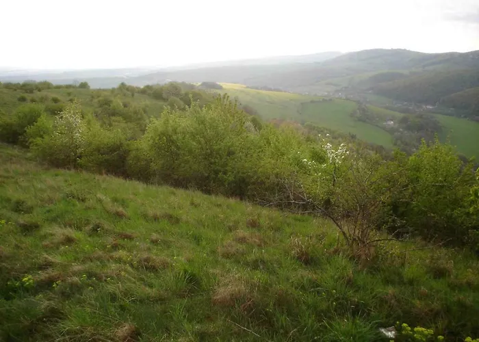 Historicky Objekt Ailit Pansiyon