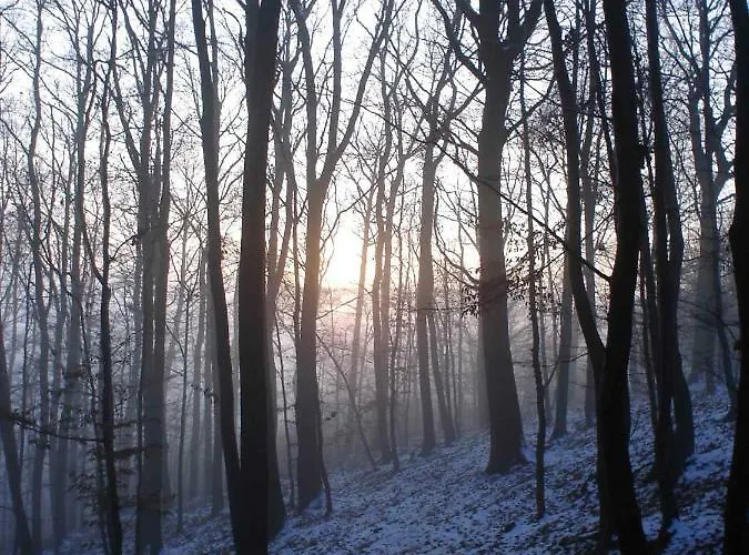 Historicky Objekt Ailit * Podbranc