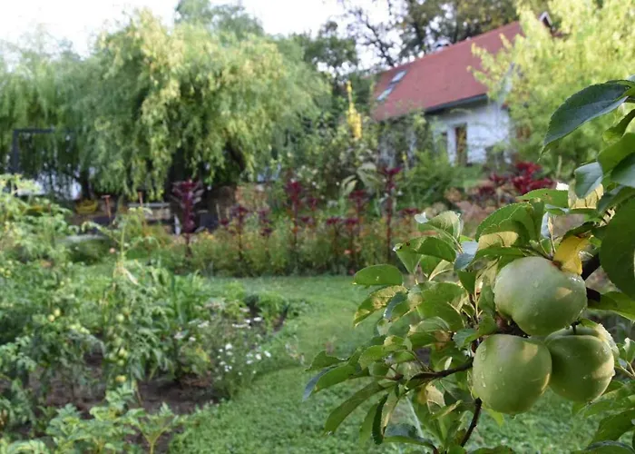 Historicky Objekt Ailit Podbranc
