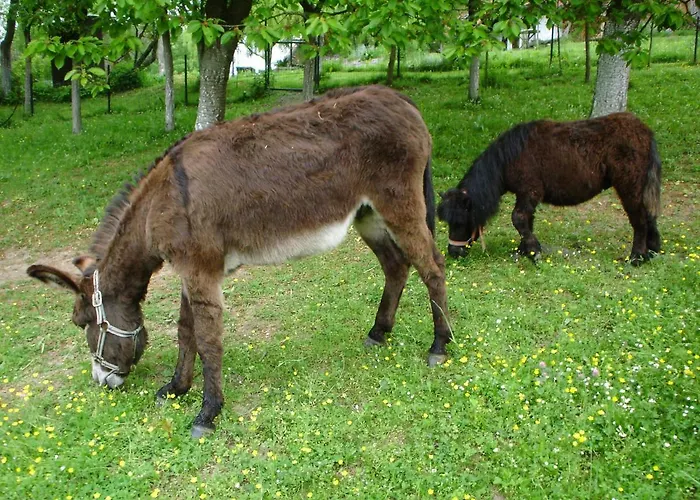 Historicky Objekt Ailit Pansiyon Podbranc